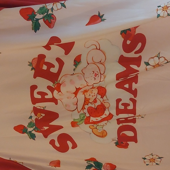 Strawberry Shortcake x Shein Short Sleeve Long Tee Sleep Shirt Plus Sz 4X - Picture 12 of 17